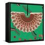 Nature Fan, Red And Green Color-Belen Mena-Framed Stretched Canvas