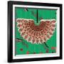 Nature Fan, Red And Green Color-Belen Mena-Framed Giclee Print