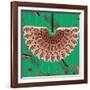 Nature Fan, Red And Green Color-Belen Mena-Framed Giclee Print