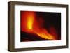 Nature Fireworks-null-Framed Art Print