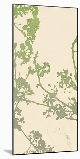 Nature Florets-Sarah Cheyne-Mounted Giclee Print