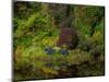 Nature Garden Reflection-Steven Maxx-Mounted Photographic Print