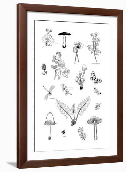 Nature Gathering-Clara Wells-Framed Giclee Print