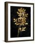 Nature Gold on Black II-Danielle Carson-Framed Art Print