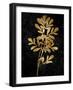 Nature Gold on Black II-Danielle Carson-Framed Art Print