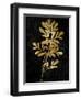 Nature Gold on Black II-Danielle Carson-Framed Art Print