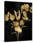 Nature Gold on Black III-Danielle Carson-Stretched Canvas
