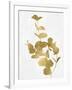 Nature Gold on White I-Danielle Carson-Framed Art Print