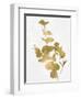 Nature Gold on White I-Danielle Carson-Framed Art Print