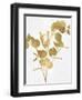 Nature Gold on White III-Danielle Carson-Framed Art Print
