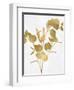 Nature Gold on White III-Danielle Carson-Framed Art Print