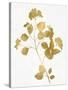 Nature Gold on White VI-Danielle Carson-Stretched Canvas