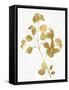 Nature Gold on White VI-Danielle Carson-Framed Stretched Canvas