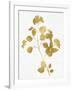 Nature Gold on White VI-Danielle Carson-Framed Art Print