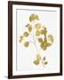 Nature Gold on White VI-Danielle Carson-Framed Art Print