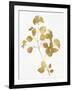 Nature Gold on White VI-Danielle Carson-Framed Art Print