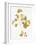 Nature Gold on White VI-Danielle Carson-Framed Art Print