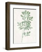 Nature Green II-Danielle Carson-Framed Art Print