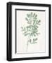 Nature Green II-Danielle Carson-Framed Art Print