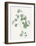 Nature Green VI-Danielle Carson-Framed Art Print