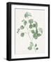 Nature Green VI-Danielle Carson-Framed Art Print