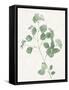 Nature Green VI-Danielle Carson-Framed Stretched Canvas