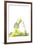 Nature Harmony Healthy Lifestyle Concept - Double Exposure Image of Woman Doing Yoga Asana King Pig-f9photos-Framed Photographic Print