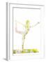 Nature Harmony Healthy Lifestyle Concept - Double Exposure Image of Woman Doing Yoga Asana Lord Of-f9photos-Framed Photographic Print