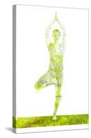 Nature Harmony Healthy Lifestyle Concept - Double Exposure Image of Woman Doing Yoga Tree Pose Asan-f9photos-Stretched Canvas