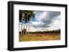 Nature Heather Landscape with Purple Flowers in the Fields-Ivonnewierink-Framed Photographic Print