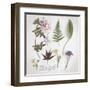 Nature Hope-Bill Philip-Framed Art Print