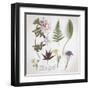 Nature Hope-Bill Philip-Framed Art Print