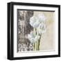 Nature I-Jenny Thomlinson-Framed Art Print