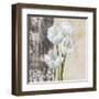 Nature I-Jenny Thomlinson-Framed Art Print