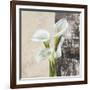 Nature II-Jenny Thomlinson-Framed Art Print