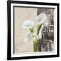 Nature II-Jenny Thomlinson-Framed Art Print