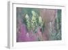 Nature in Bloom-Staffan Widstrand-Framed Giclee Print