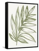 Nature in Sage I-Sue Schlabach-Framed Stretched Canvas