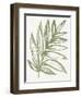 Nature in Sage I-Sue Schlabach-Framed Art Print