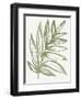 Nature in Sage I-Sue Schlabach-Framed Art Print