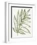 Nature in Sage I-Sue Schlabach-Framed Art Print