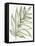 Nature in Sage I-Sue Schlabach-Framed Stretched Canvas
