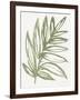 Nature in Sage I-Sue Schlabach-Framed Art Print