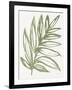 Nature in Sage I-Sue Schlabach-Framed Art Print