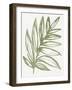 Nature in Sage I-Sue Schlabach-Framed Art Print