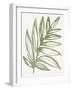 Nature in Sage I-Sue Schlabach-Framed Art Print