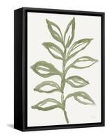 Nature in Sage II-Sue Schlabach-Framed Stretched Canvas