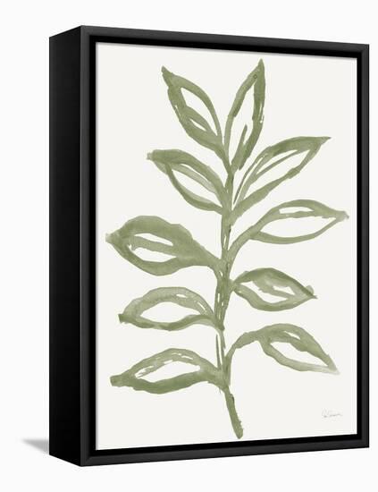 Nature in Sage II-Sue Schlabach-Framed Stretched Canvas