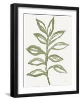 Nature in Sage II-Sue Schlabach-Framed Photographic Print