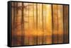 Nature Is Magic-Philippe Sainte-Laudy-Framed Stretched Canvas
